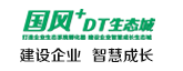 国风+DT生态城