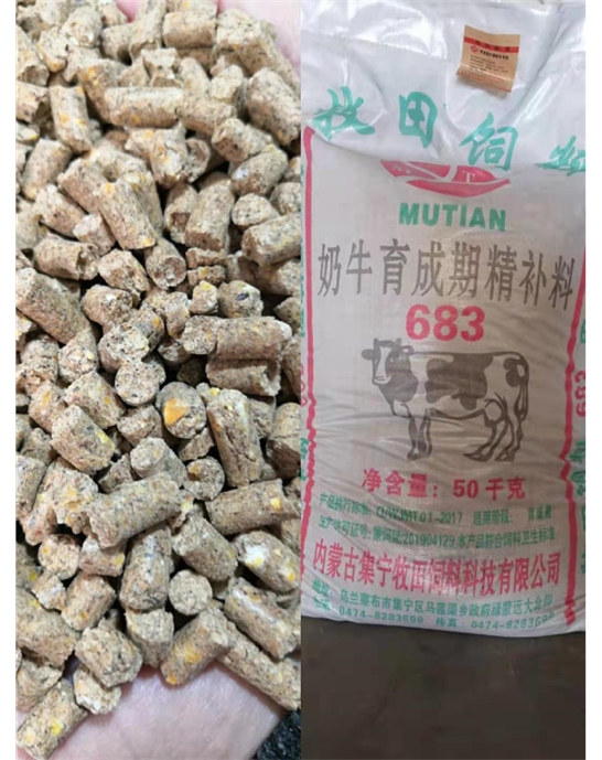 奶牛育成期精补料683